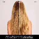 2611091_alt04