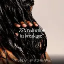 2611086_alt01
